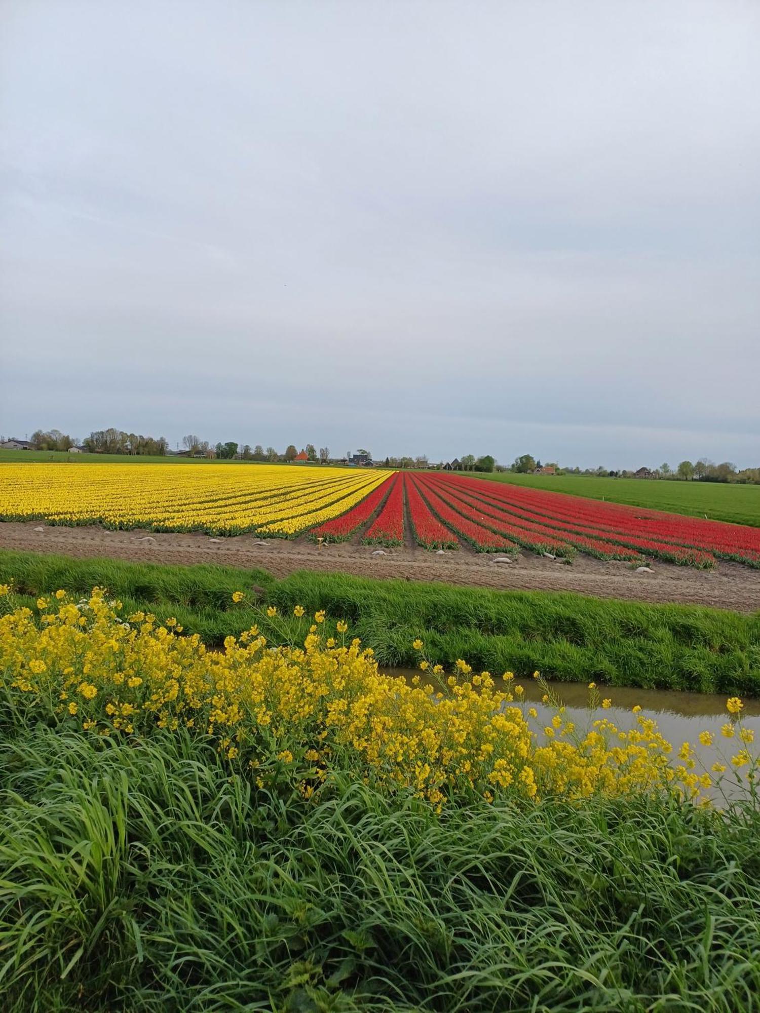 Vila Kota Wadway Spanbroek Exteriér fotografie