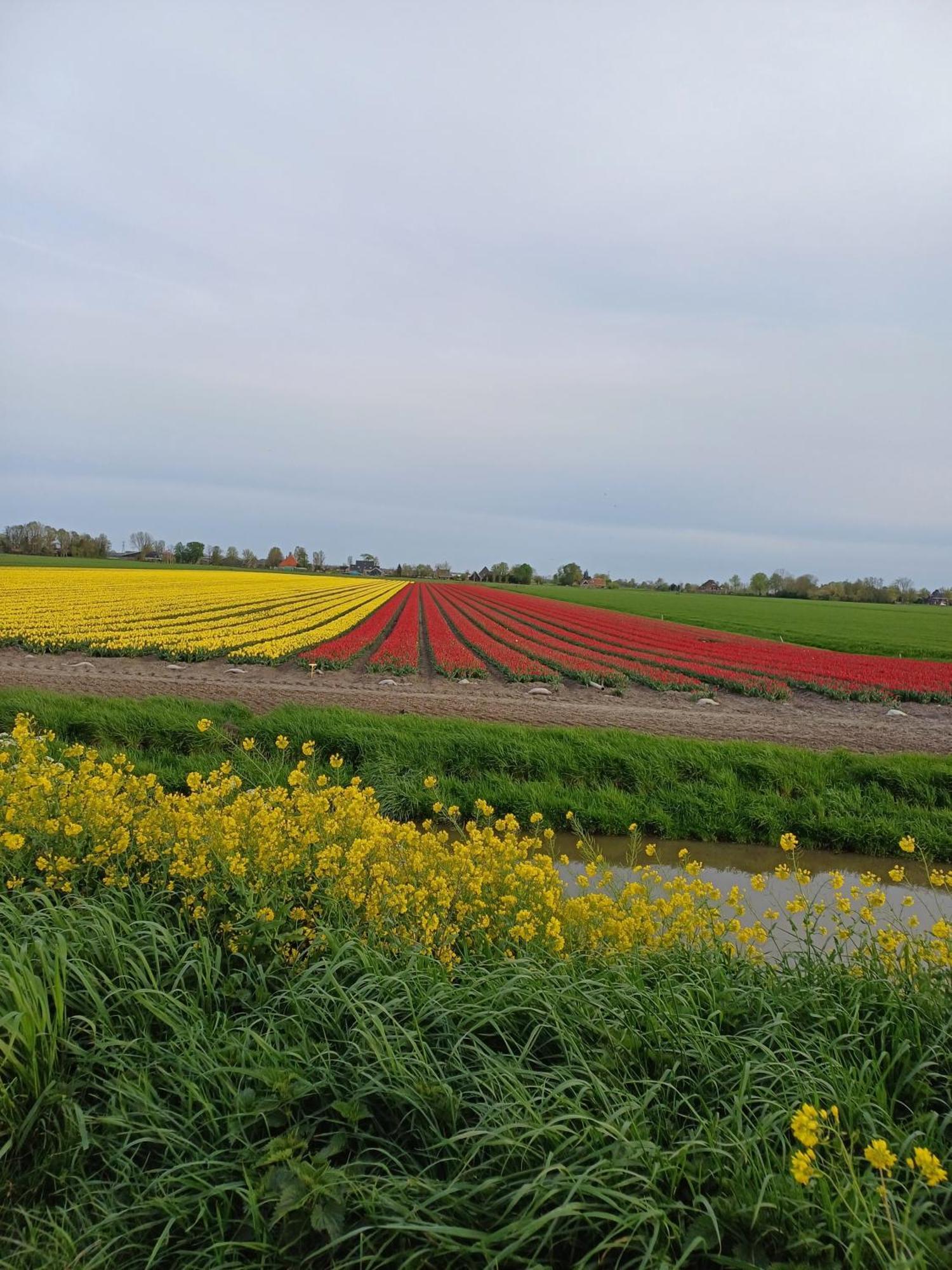 Vila Kota Wadway Spanbroek Exteriér fotografie