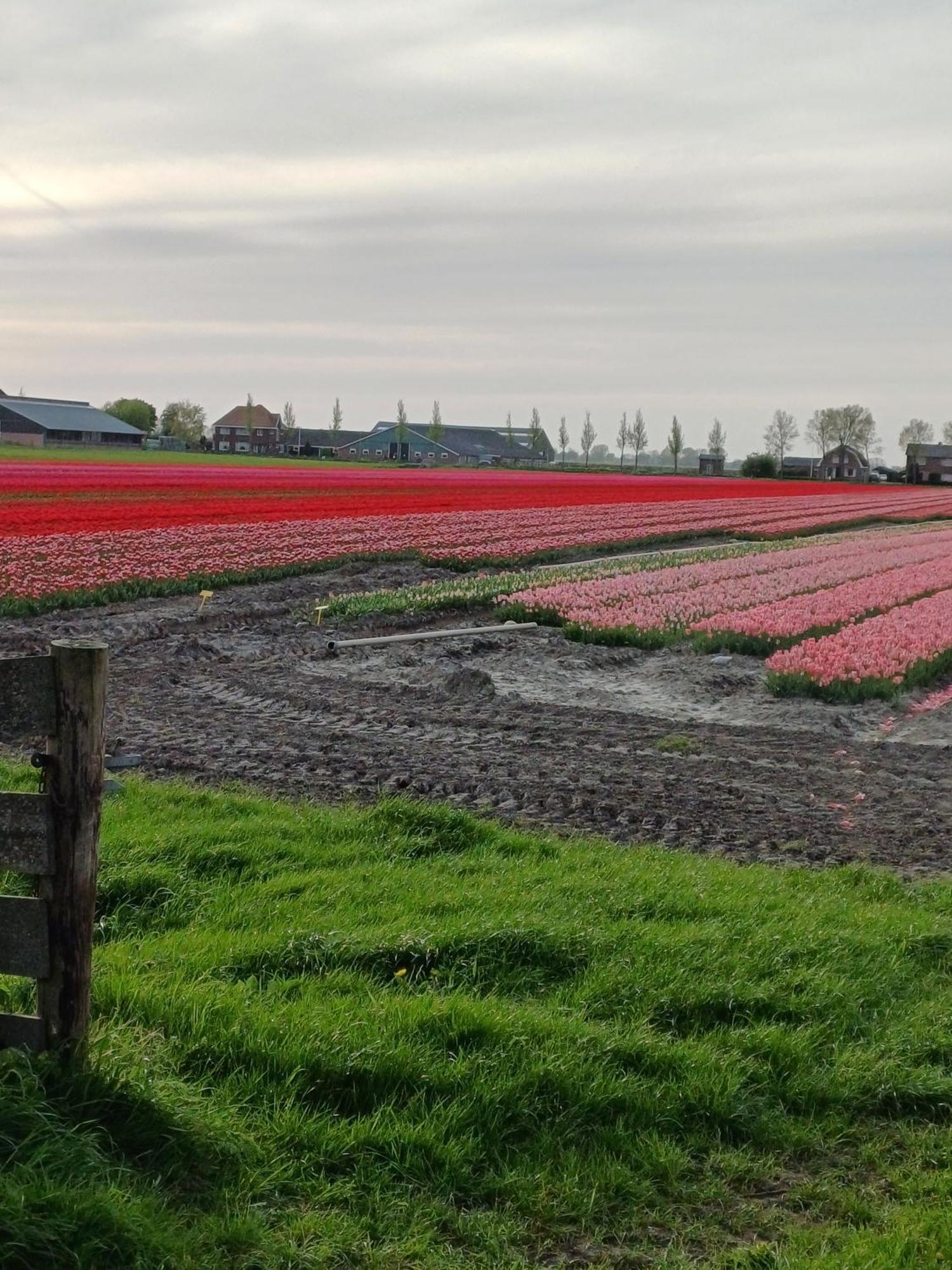 Vila Kota Wadway Spanbroek Exteriér fotografie
